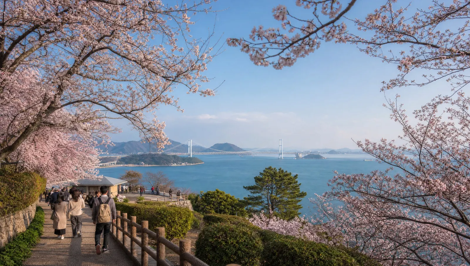 桜並木の先に海峡を望む、観光客が行き交う風景