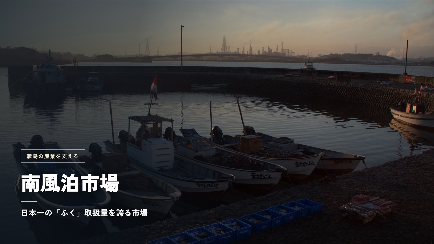 夜明けの南風泊漁港に並ぶ漁船と水揚げされた水産物